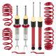 Coilover Lowering Kit For Audi A4 Avant 8e5 B6 00-05 8h7 B6 8he B7 8e2 B6 8ed B7